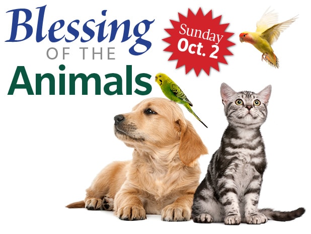 Blessing of the Animals—Oct. 2, 2022 at 10 a.m.