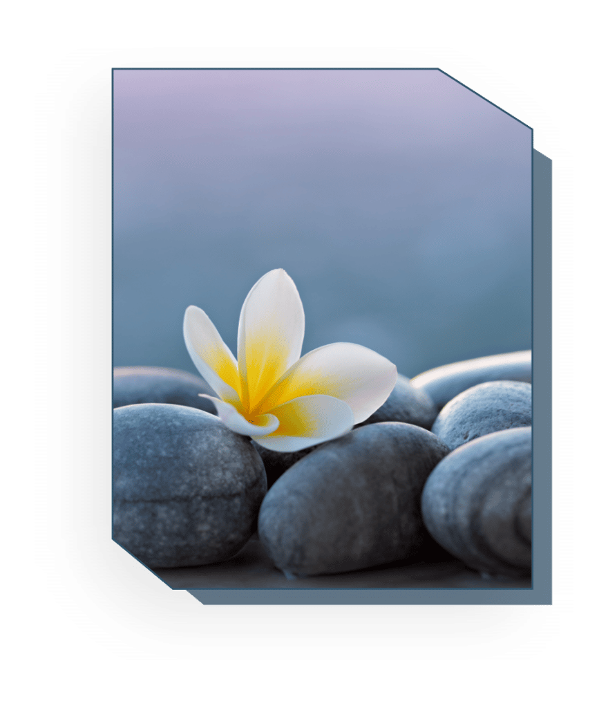 Grief Support Group image (plumeria and stones photo)