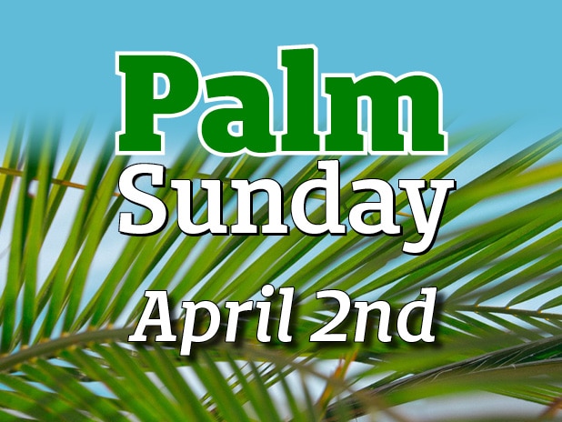 Palm Sunday • April 2nd • with palm leaves against a blue sky background